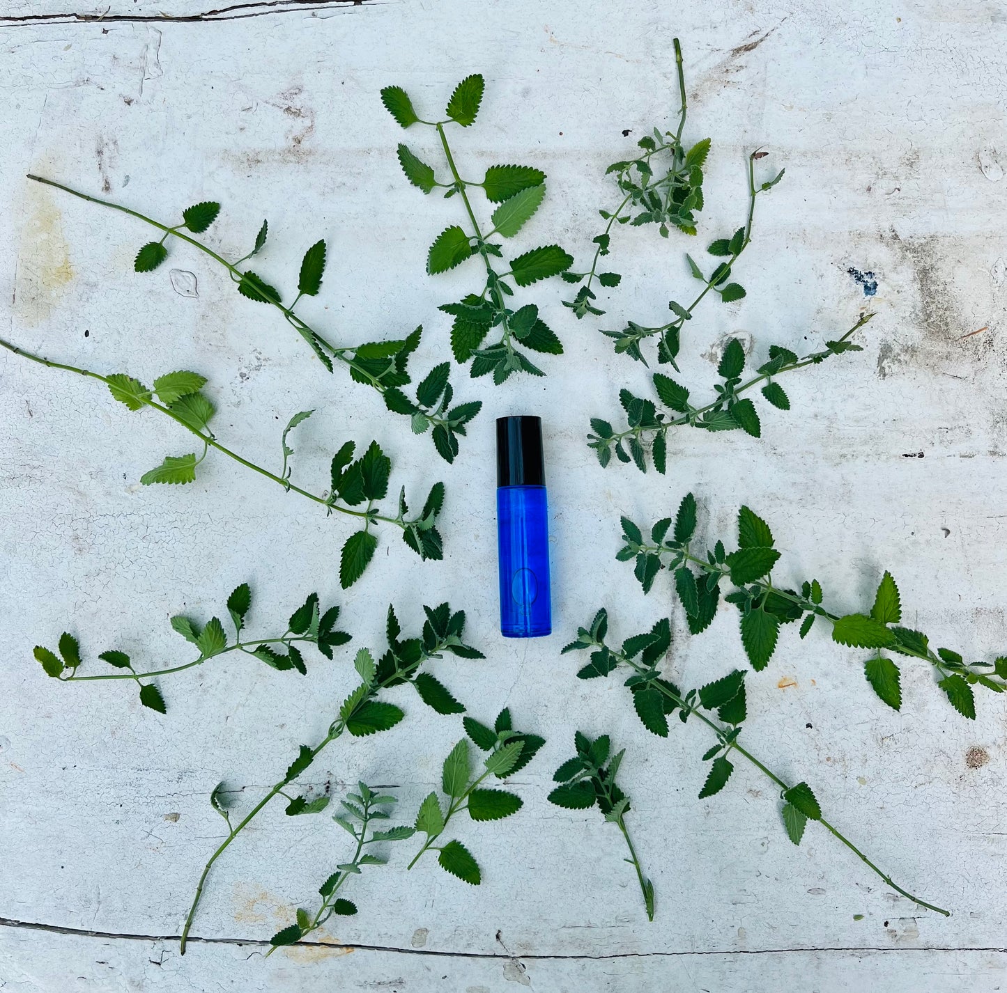 Peppermint Essential Oil Roller Ball 10ml