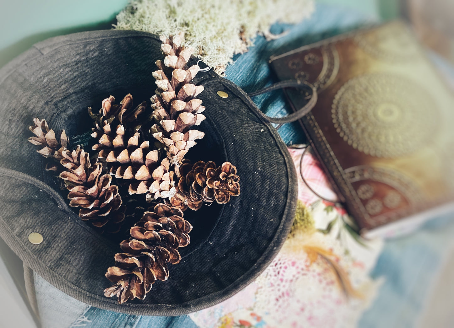 Cinnamon Scented Pinecones