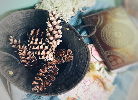 Cinnamon Scented Pinecones