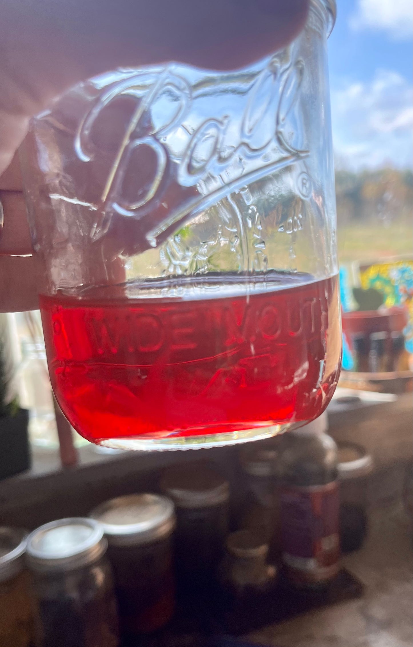 St John’s Wort Salve