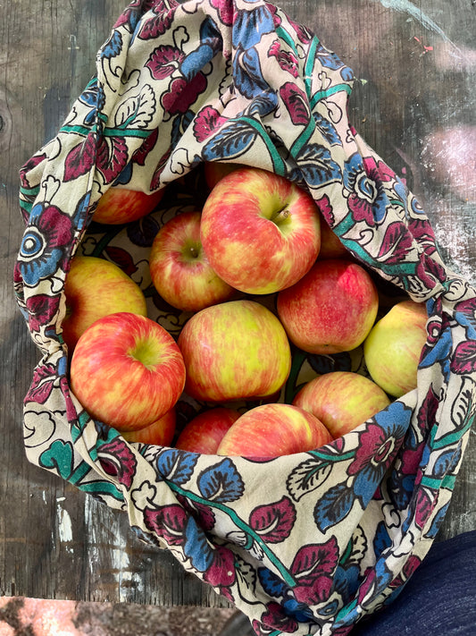 Bento Bag